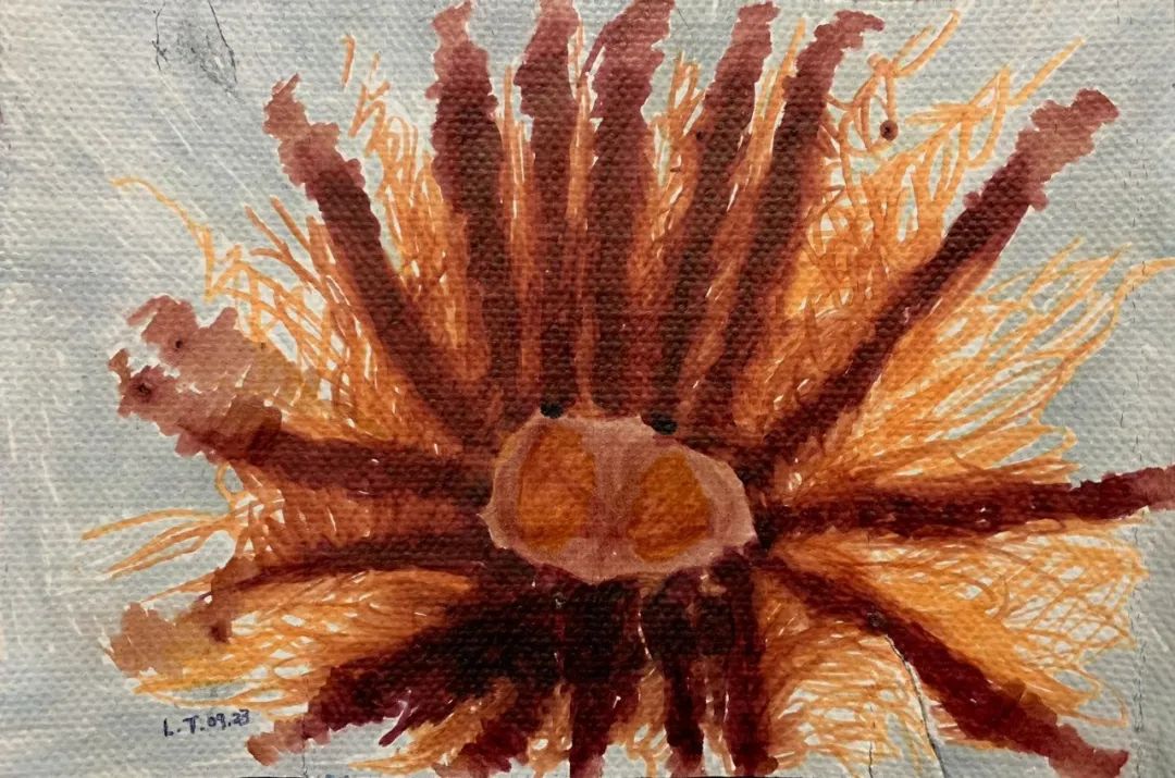 newwave新浪潮作品赛,厦门newwave新浪潮