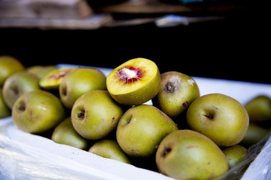 冬天感受阳光的味道,冬天到凉山
