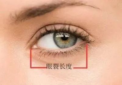 眼综合包含在眼综合吗,眼综合每个人都适合吗