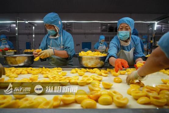 小镇何以做出实体大产业？原来做优做强的背后都有一个“超级服务员”