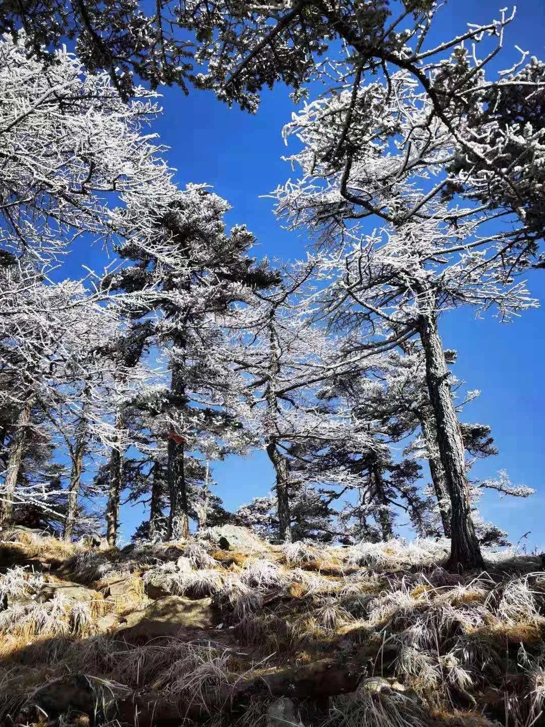 曲江也有星座？没错，是你2G了！