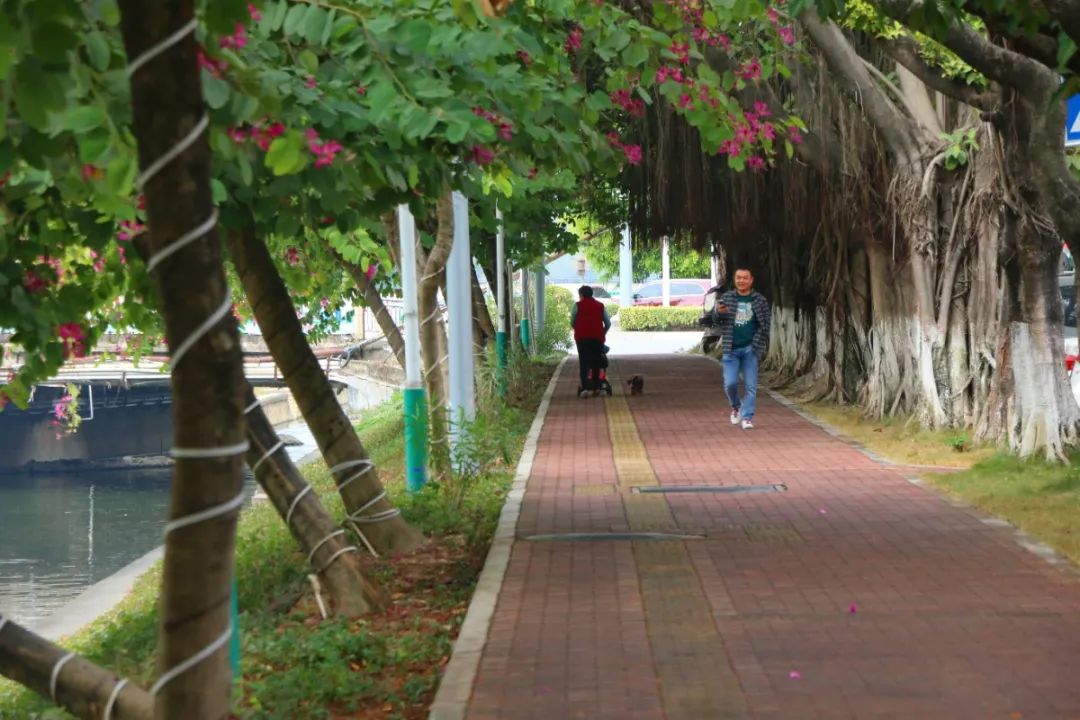 鍏卞缓灞辨竻姘寸瀹跺洯鍥剧墖,鍏卞缓灞辨竻姘寸瀹跺洯瑙勫垝