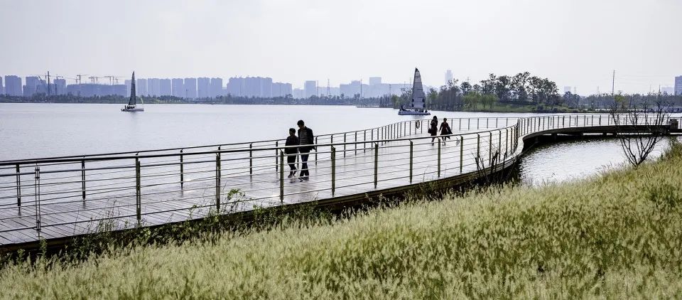 缓解城市热岛效应的措施,缓解城市热岛效应的有效建议