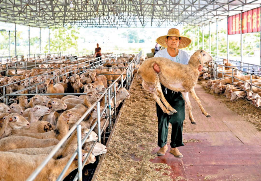 2020继续努力为幸福生活努力奋斗,2021年逆风翻盘乘风破浪