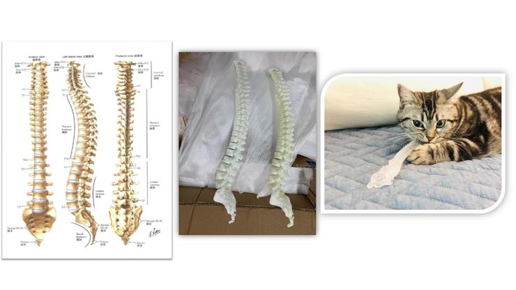 陆菁菁北京协和医院,陆菁菁和睦家