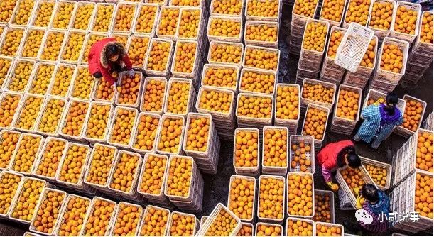 湖南怀化的黔阳冰糖橙,怀化冰糖橙的甜度最高是多少