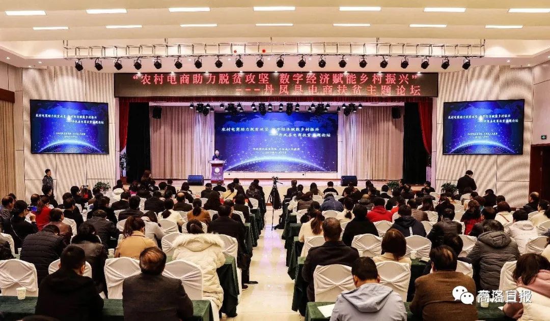 网红经济引领消费前景,乡镇网红电商发展情况