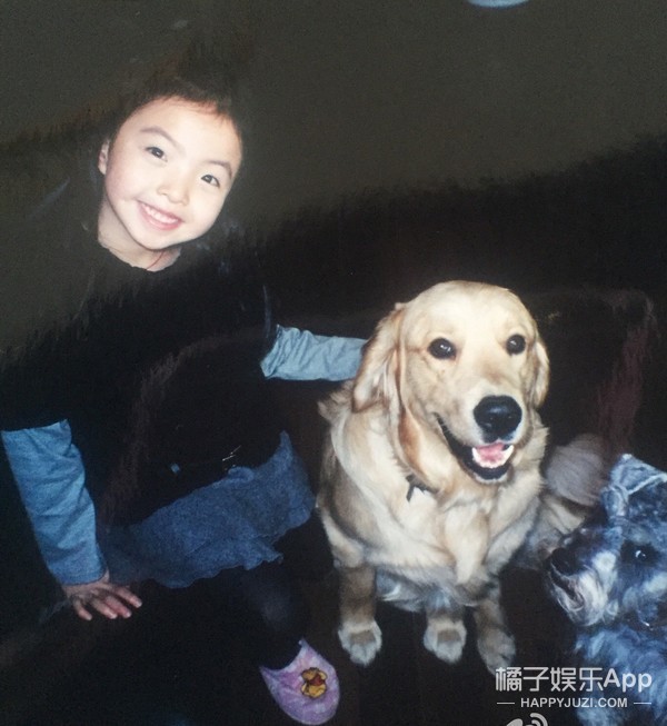 董洁向太,董洁和向太