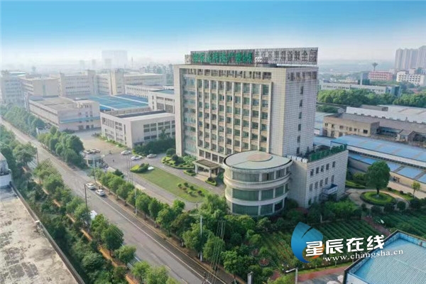 精彩芙蓉扬帆自贸④|湖南省茶业集团:吹向世界的三湘茶香