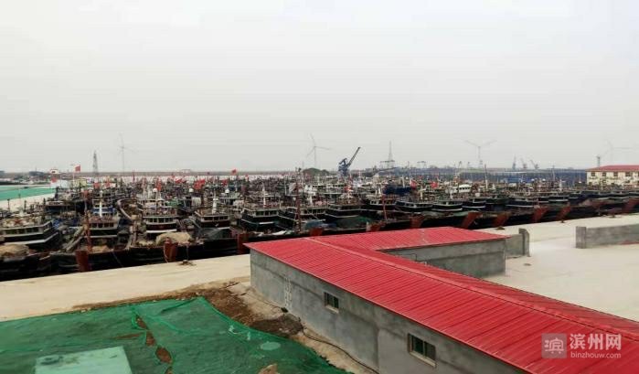 滨州今日头条最新事,滨州市网事