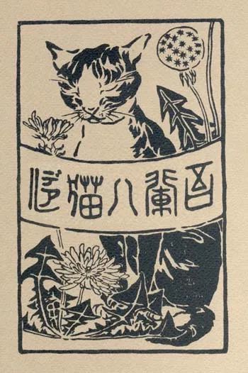 今天我们怎么阅读,我是猫这本书想要告诉我们什么