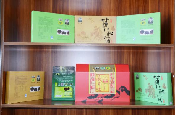 乡村振兴美丽画卷绘上墙,乡村振兴图彩绘