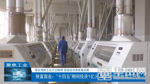 陕富面业发展趋势,陕西陕富面业产量