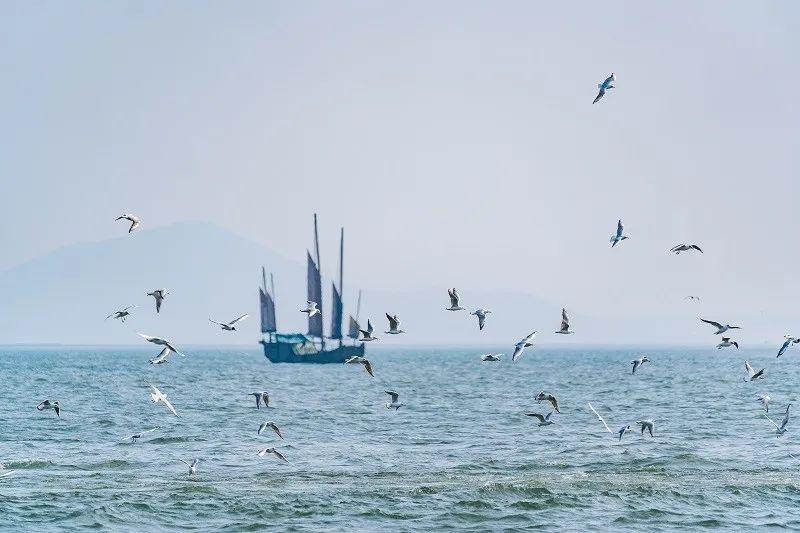 春节特价酒店推荐,江浙沪5.1不加价酒店