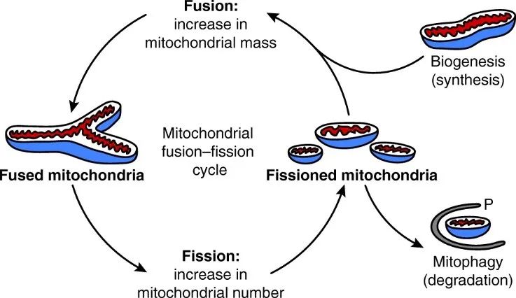 21天不间断测评,21天全测评