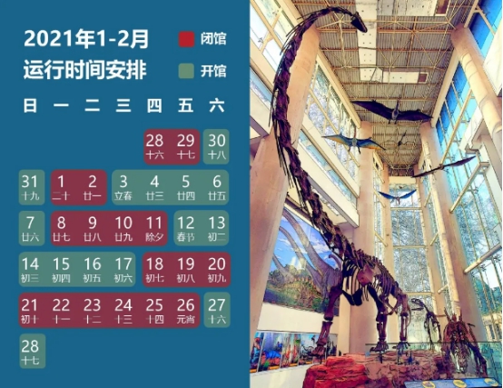 南京古生物博物馆6亿年海绵化石,南京地质博物馆恐龙化石要预约吗