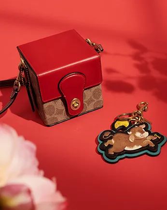 大牌新年包包,不可不知的50款大牌经典包包