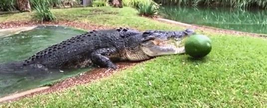 槌勯奔鑱屼笟鐚庝汉,槌勯奔鐚庝汉骞磋柂