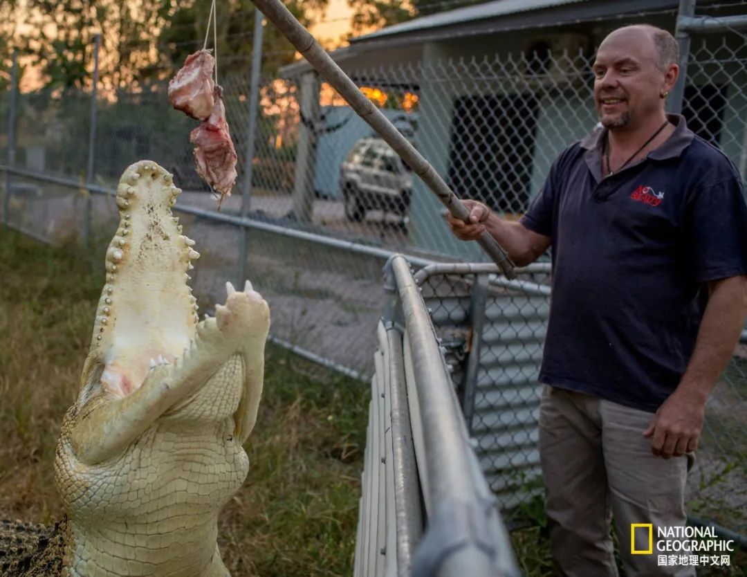 槌勯奔鑱屼笟鐚庝汉,槌勯奔鐚庝汉骞磋柂