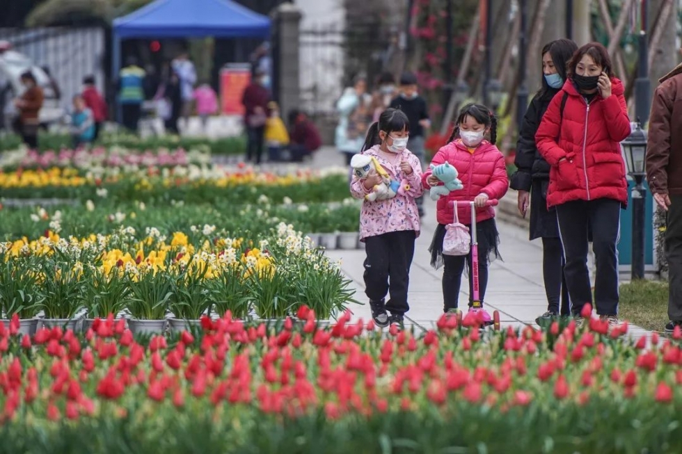 福州郁金香沙滩公园,福州温泉公园郁金香盛开