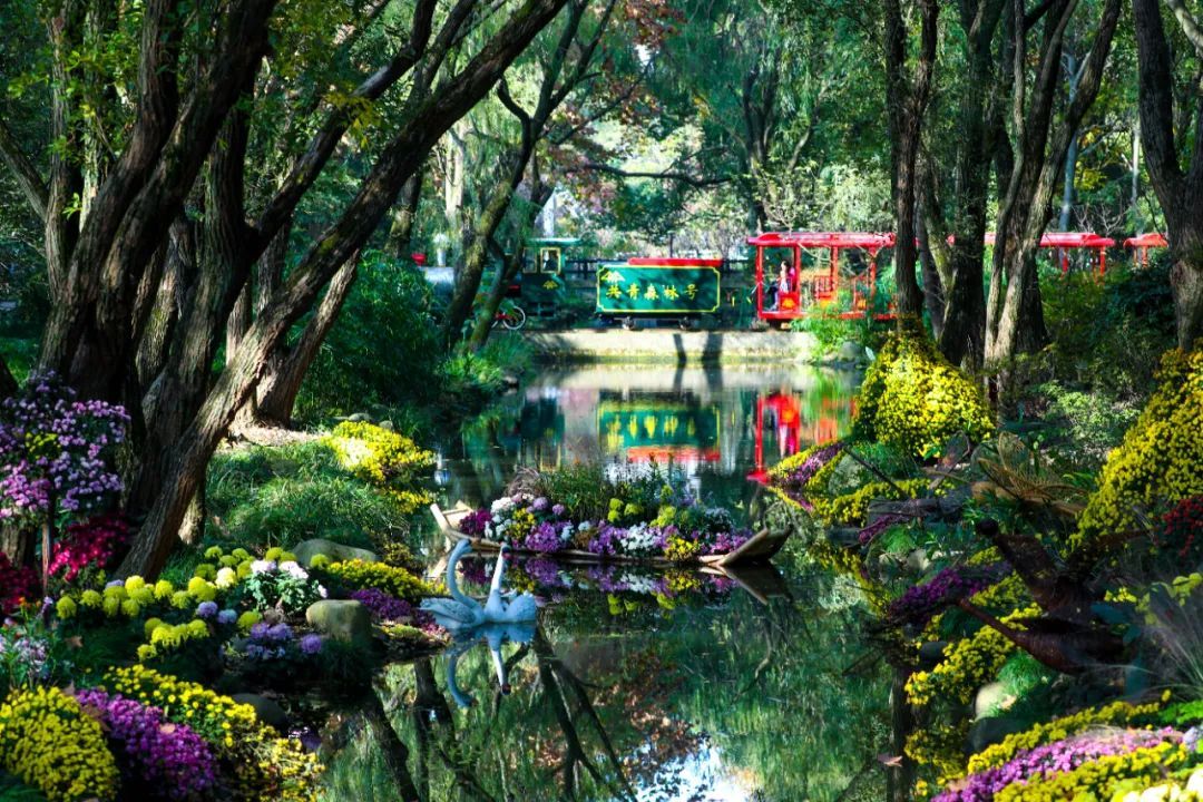 周边游玩推荐适合带孩子的公园,最好玩的主题公园排名前十