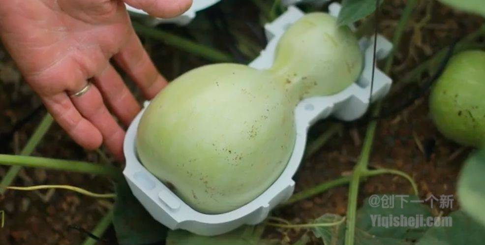 日本人种个葫芦，星巴克咖啡杯就变成了这样