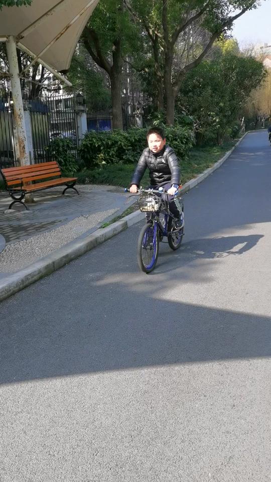 小蚂蚁嘉年华完整版,小蚂蚁嘉年华