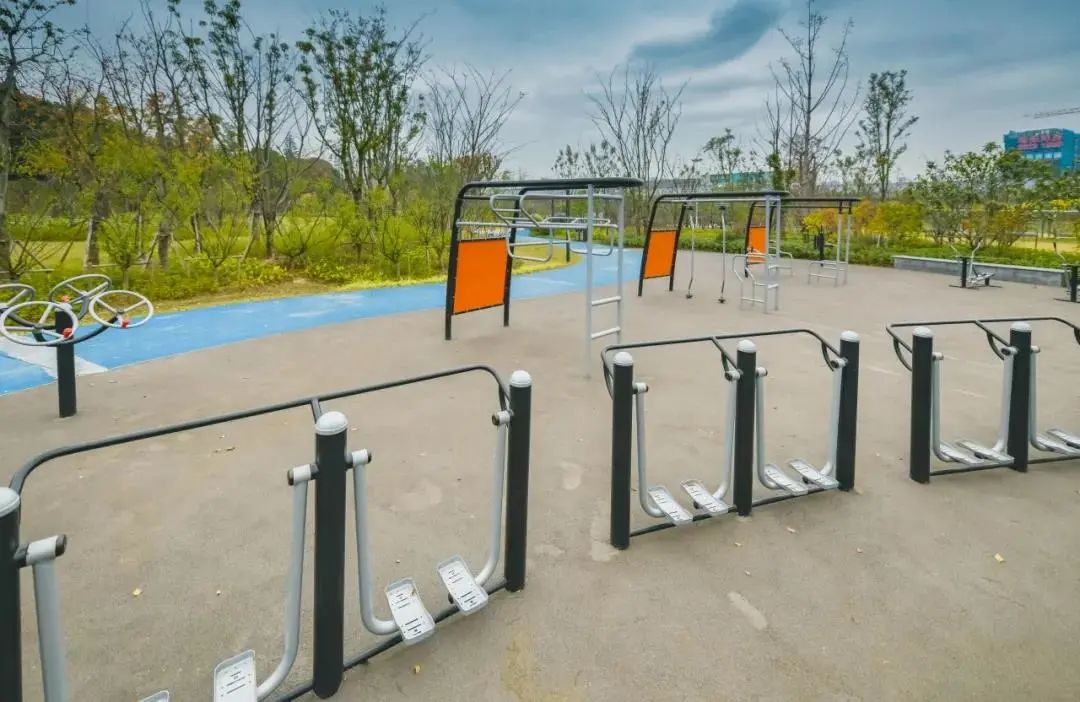 体育公园真人秀,网红体育公园