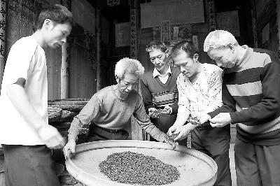 百茶百味|获巴拿马博览会金奖的坦洋工夫，道不尽百年岁月的阵阵茶香