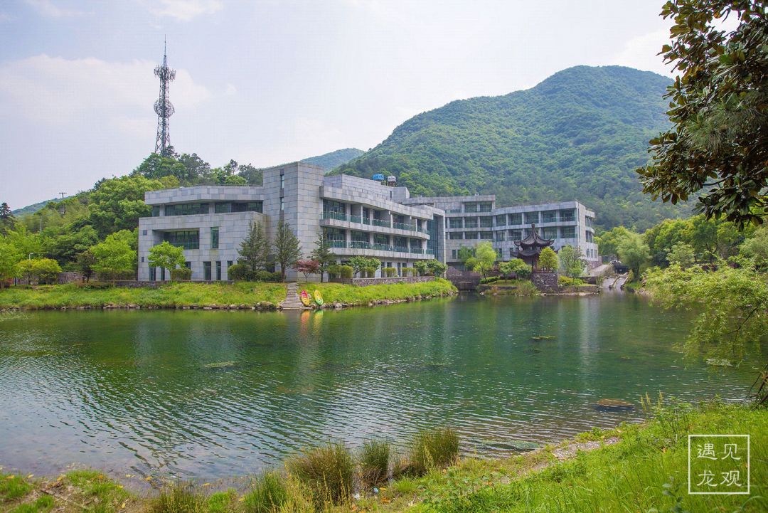 瀵诲勾鍛宠繋榫欏勾鎵撳崱娲诲姩,瀵诲勾鍛冲搧骞村懗鎰熷彈