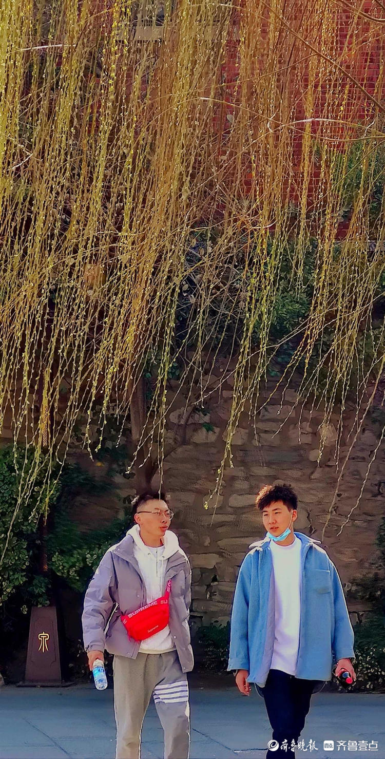 情报站｜暖风吹得游人醉，济南大明湖畔杨柳吐翠春色怡人