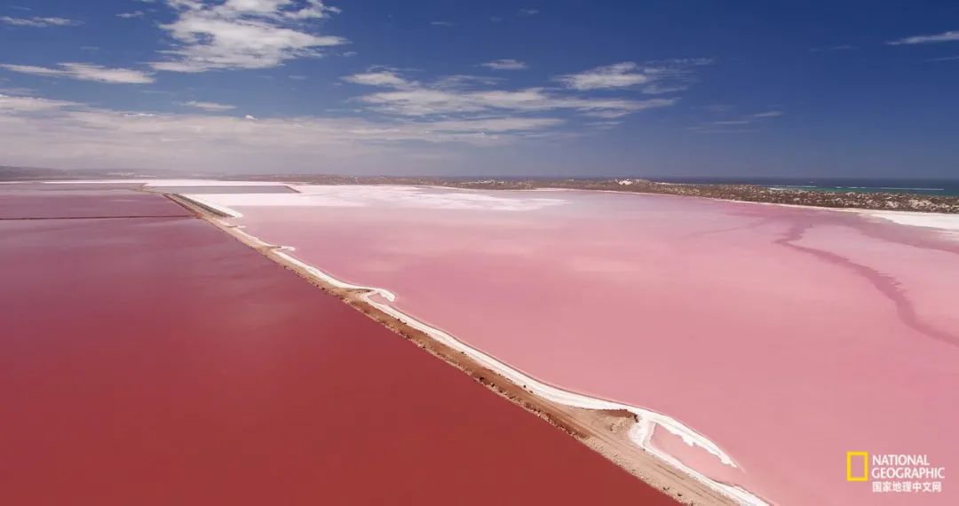 如果你是上帝,现在你是上帝2