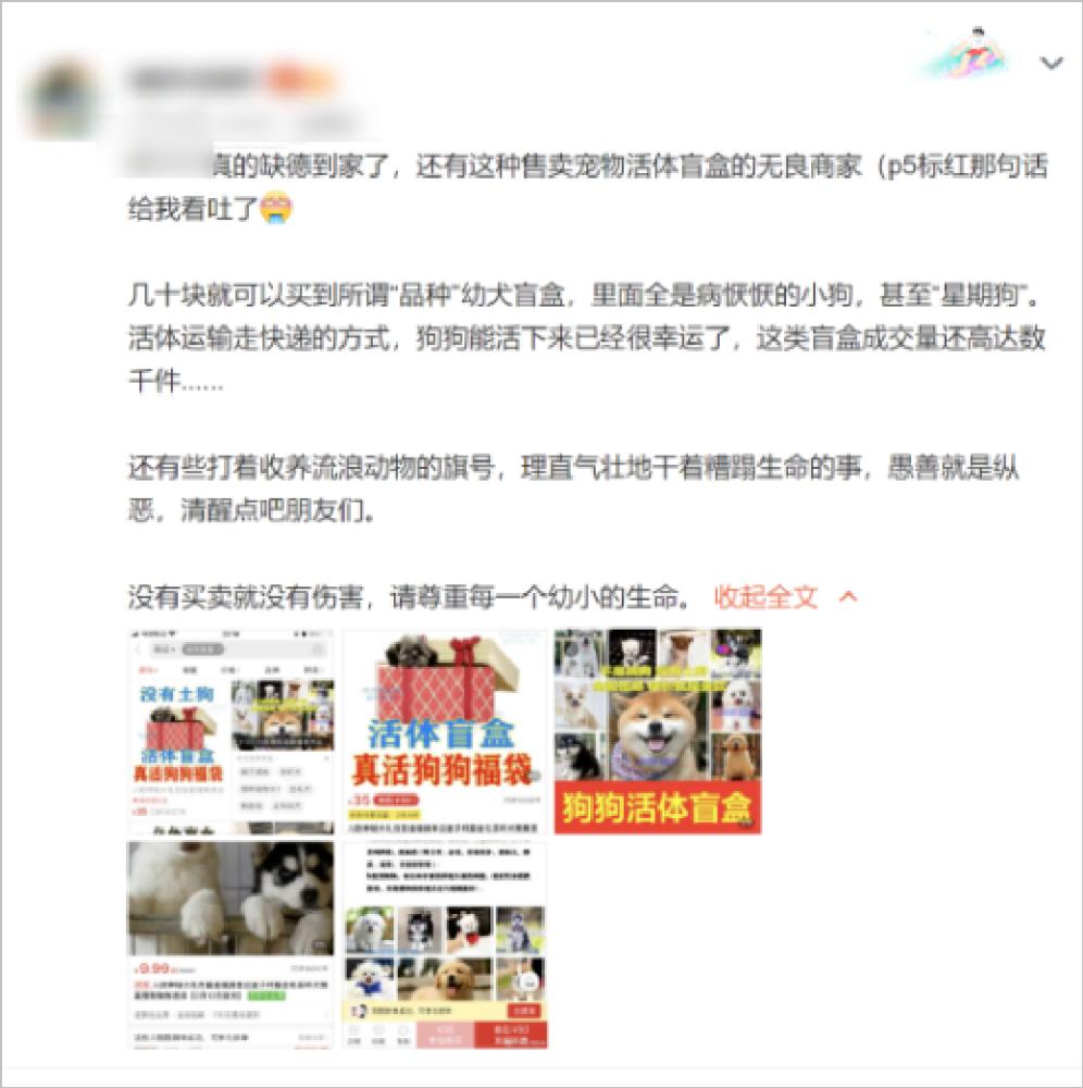 上海一女子超市偷4000元巧克力,一女子上网抽盲盒被骗