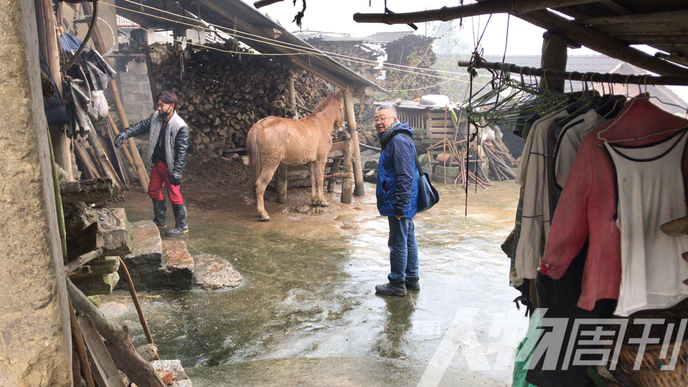 荒原上的杀马特|封面人物