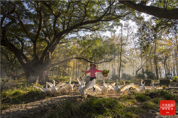 春之韵诗词原创,春之韵诗词10首