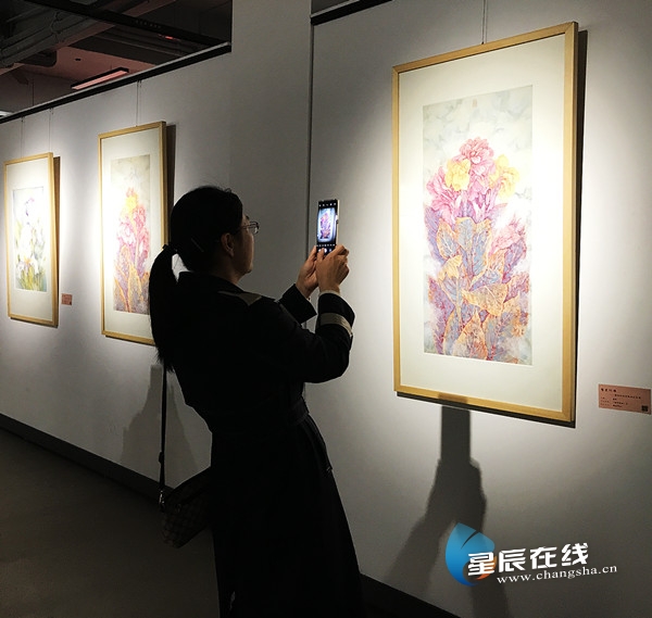 花开三月伊人“繁花似锦”来天一美术馆与12名湖南女画家共赏佳作
