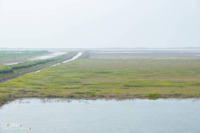 绘画我和春天有个约会,亲子绘画我和春天有个约会