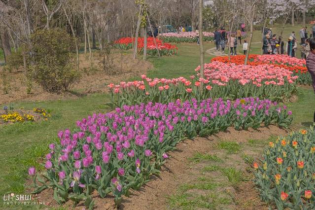 绘画我和春天有个约会,亲子绘画我和春天有个约会