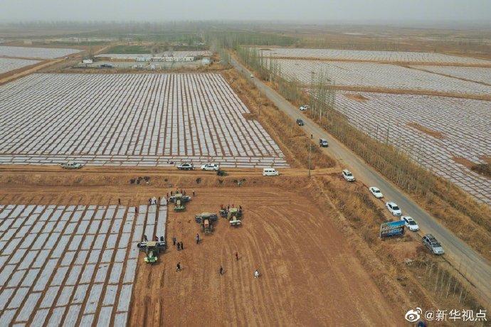 *疆新**棉花春播：这些地方超9成实现全程机械化