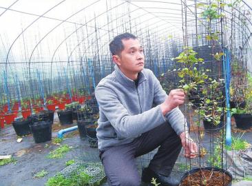 每年利润30万的生意,每年挣100-200万的生意