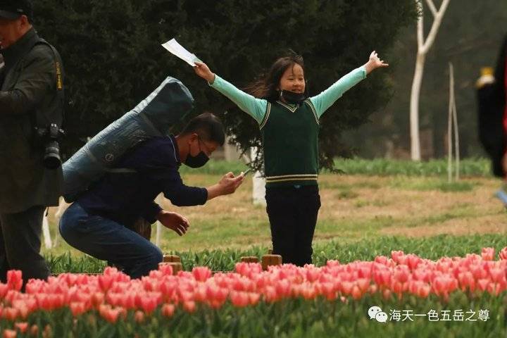 清明时节万物清新,清明万物新