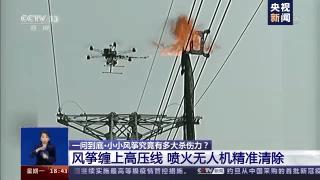 放风筝逼停列车,风筝逼停高铁