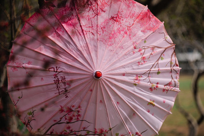 松下s5镜头70-300测评,松下lumixs70-300mm