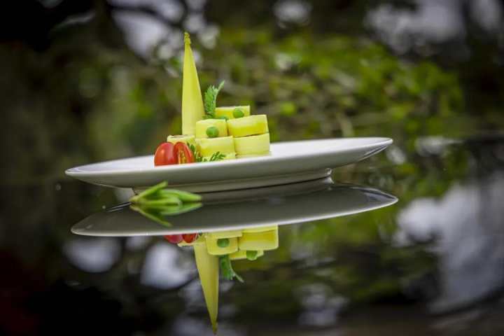 杭州食笋图鉴,天目山鲜笋第一名