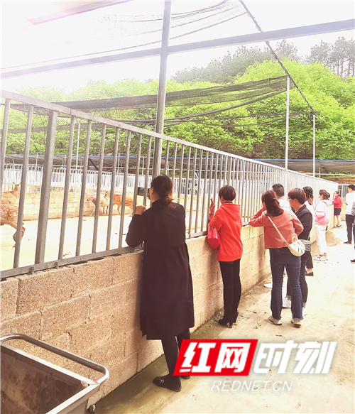 零阳镇教师进修学校：学*党**史践行动开展农民大学生社会实践活动