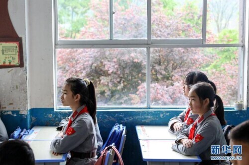 传承红色基因寻访家乡变化,红色基因红军小学