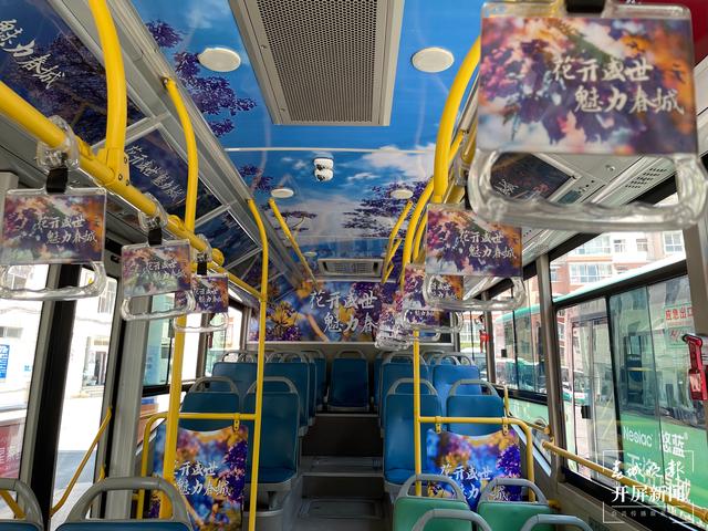 昆明蓝花楹主题公园路线,昆明赏蓝花楹巴士