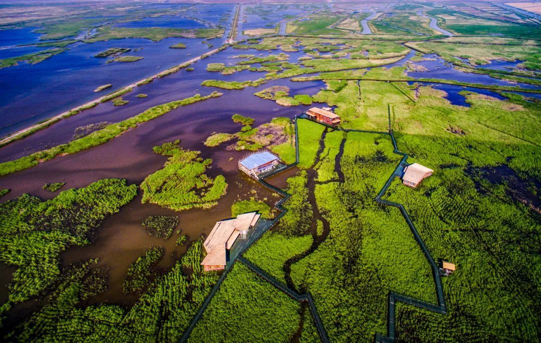 中国第三大岛崇明岛,中国第三大岛崇明岛现状