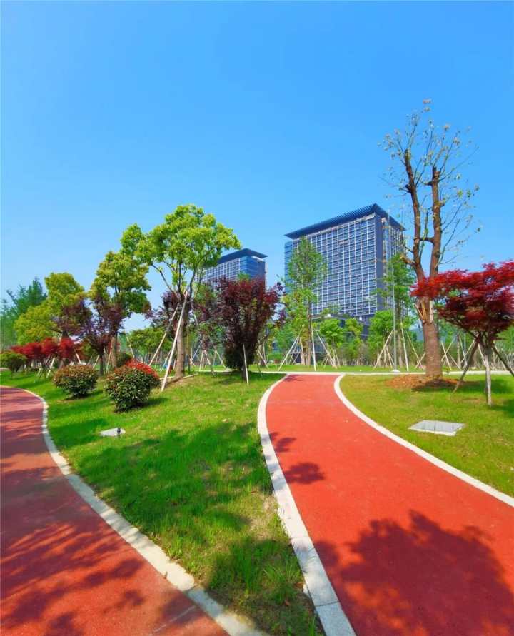 医护最美瞬间随手拍,医院最美照片