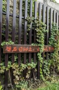 义乌美食及景点,义乌一日游必打卡美食